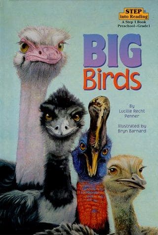 Tapa de Big birds
