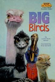 Tapa de Big birds