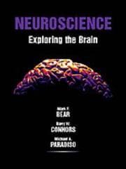 Tapa de Neuroscience
