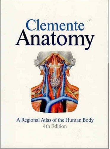 Tapa de Anatomy