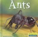 Tapa de Ants