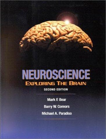 Tapa de Neuroscience