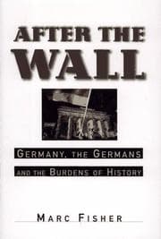 Tapa de After the wall