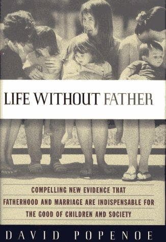 Tapa de Life without father