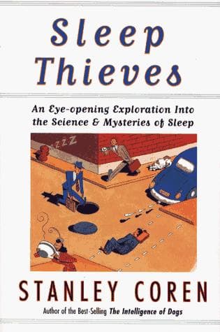 Tapa de Sleep thieves