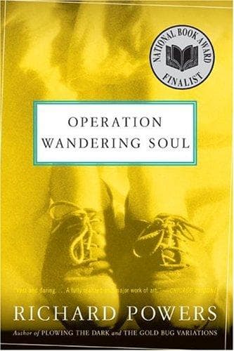 Tapa de Operation wandering soul