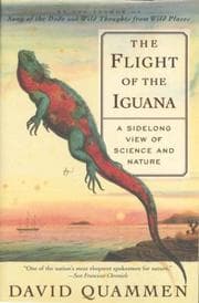 Tapa de The flight of the iguana