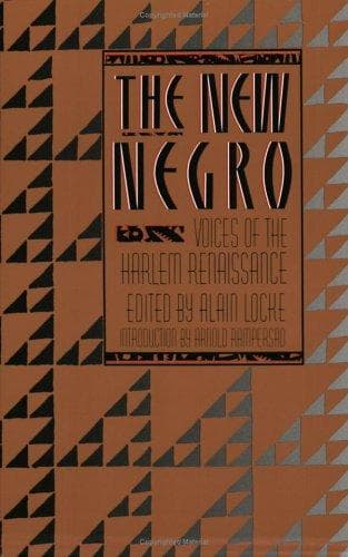 Tapa de The new Negro
