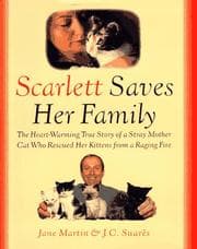 Tapa de Scarlett saves her family