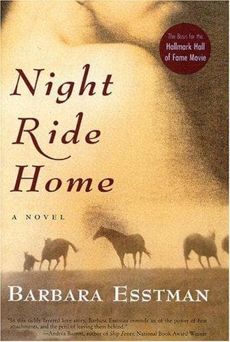 Tapa de Night ride home