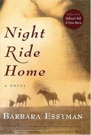 Tapa de Night ride home