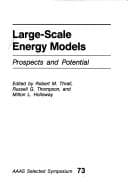 Tapa de Large-scale energy models, prospects and potential