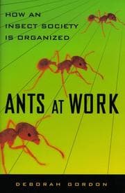 Tapa de Ants At Work