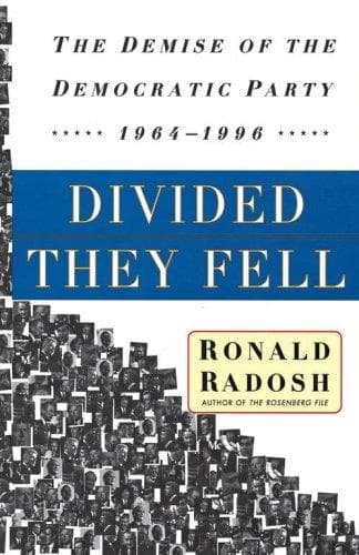 Tapa de Divided They Fell
