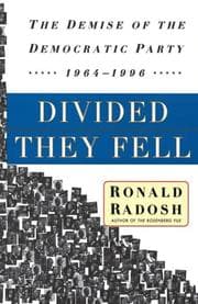 Tapa de Divided They Fell