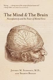 Tapa de Mind and the Brain