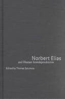 Tapa de Norbert Elias and human interdependencies