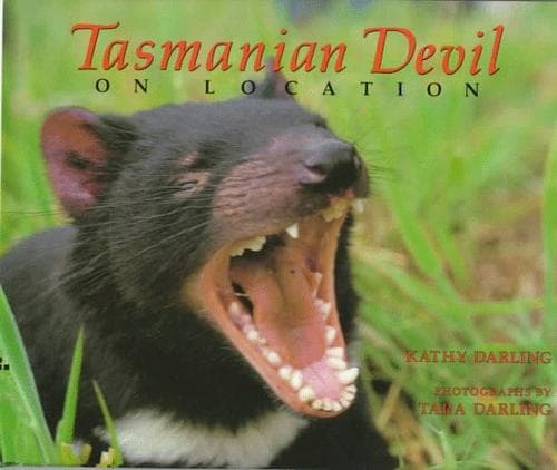 Tapa de Tasmanian Devil