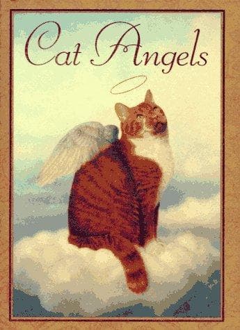 Tapa de Cat angels