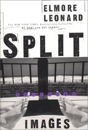 Tapa de Split Images