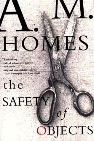 Tapa de The safety of objects