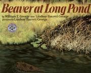 Tapa de Beaver at Long Pond
