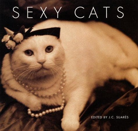Tapa de Sexy cats