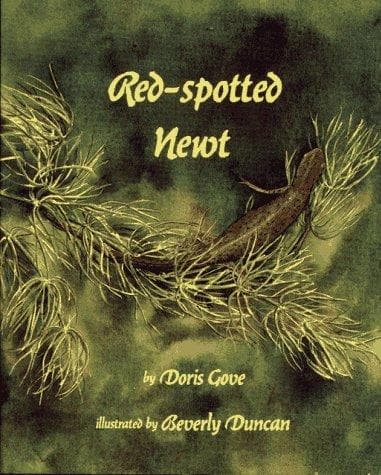 Tapa de Red-spotted newt