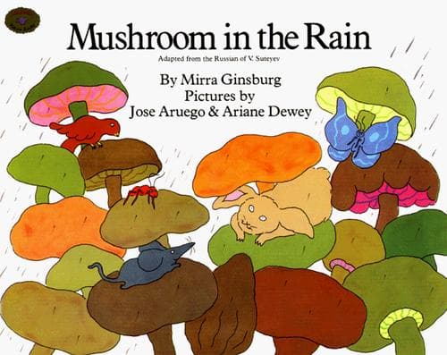 Tapa de Mushroom in the Rain