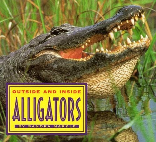 Tapa de Outside and inside alligators