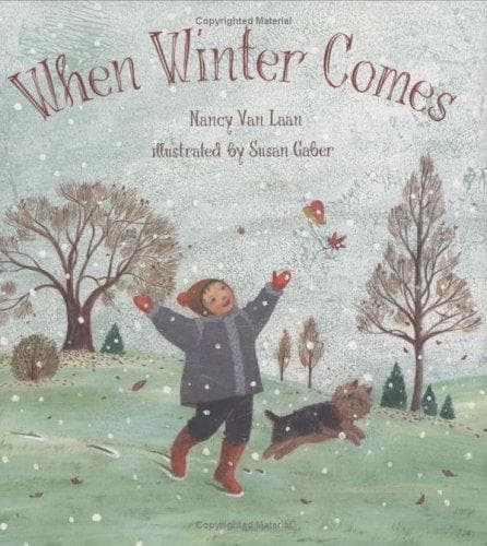 Tapa de When winter comes