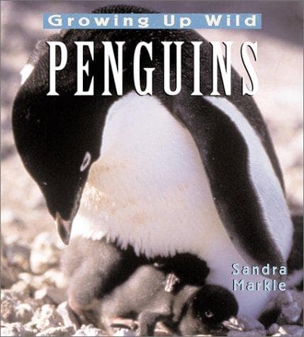 Tapa de Penguins