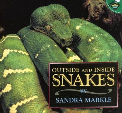 Tapa de Outside and Inside Snakes