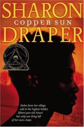 Tapa de Copper sun