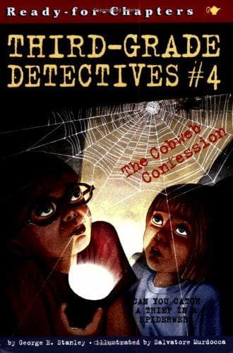Tapa de The cobweb confession