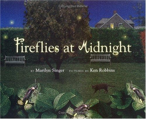 Tapa de Fireflies at midnight