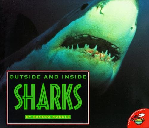 Tapa de Outside And Inside Sharks (Outside Inside)