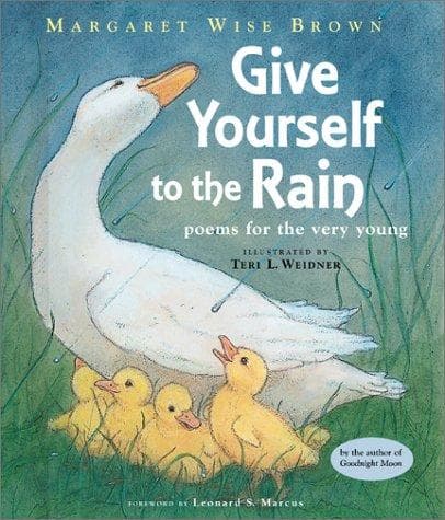 Tapa de Give yourself to the rain