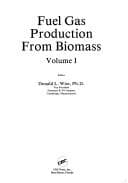 Tapa de Fuel gas production from biomass