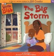 Tapa de The big storm