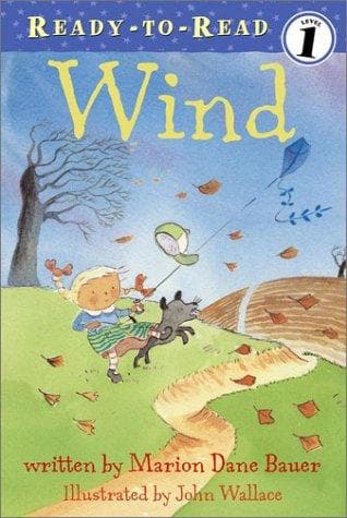 Tapa de Wind
