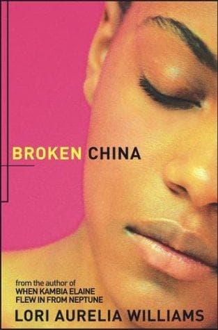 Tapa de Broken China