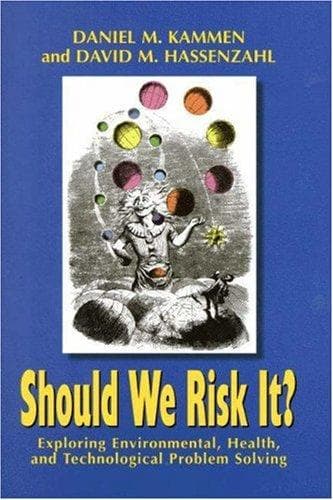 Tapa de Should we risk it?