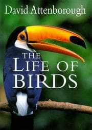 Tapa de The life of birds