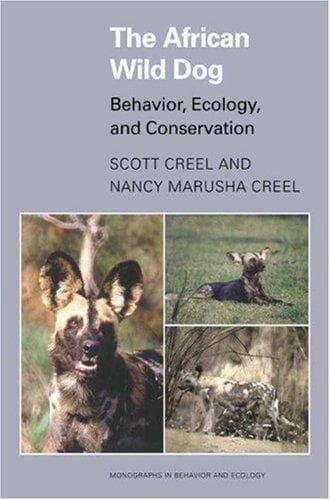 Tapa de African Wild Dog