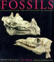 Tapa de Fossils