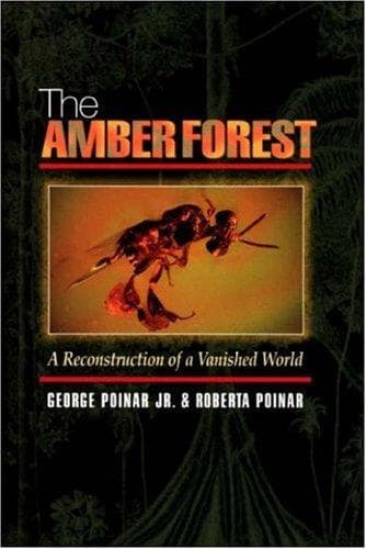 Tapa de The amber forest