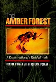 Tapa de Amber Forest - A Reconstruction of a Vanished World