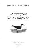 Tapa de A species of eternity
