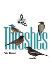 Tapa de Thrushes